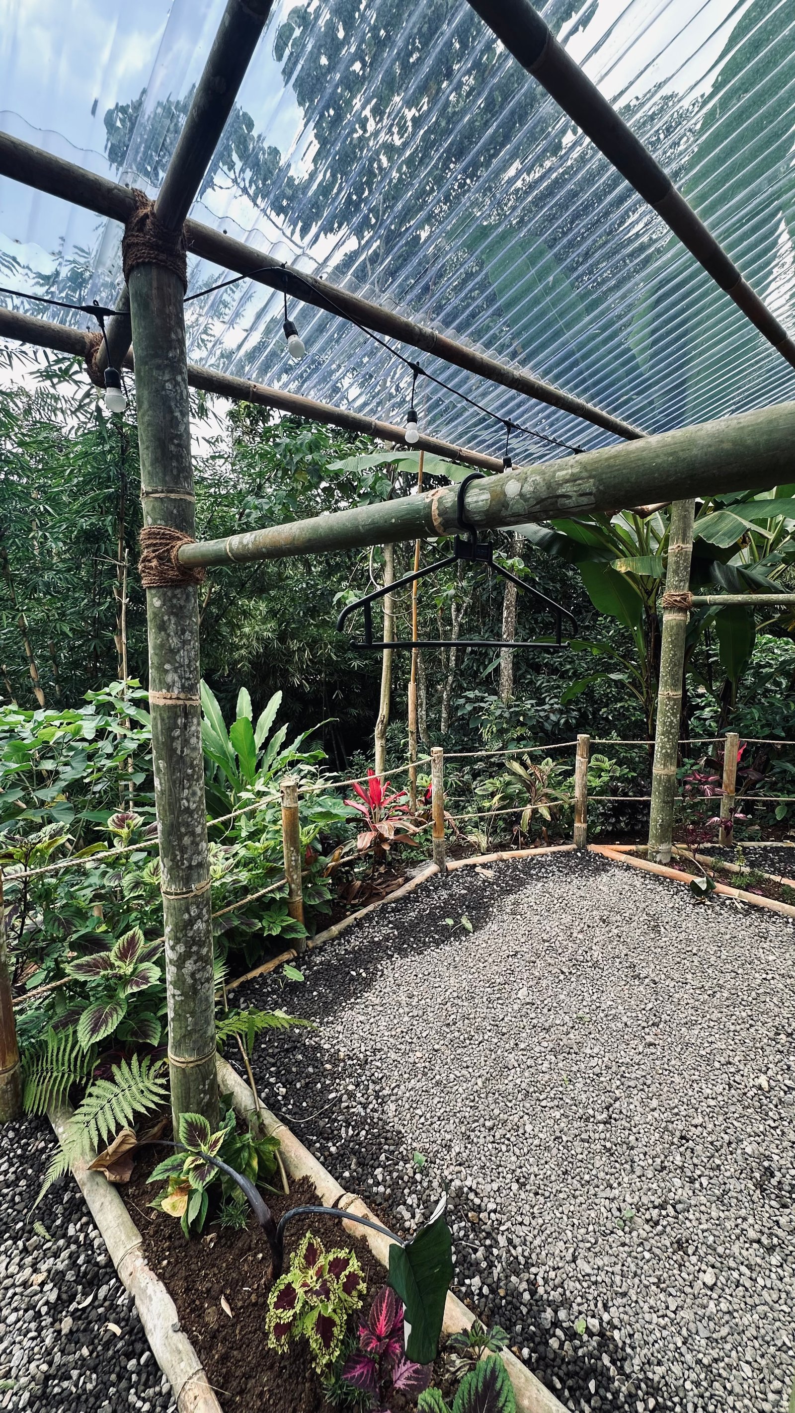 Bamboo pavilion with jungle views at Bamboo Hollow