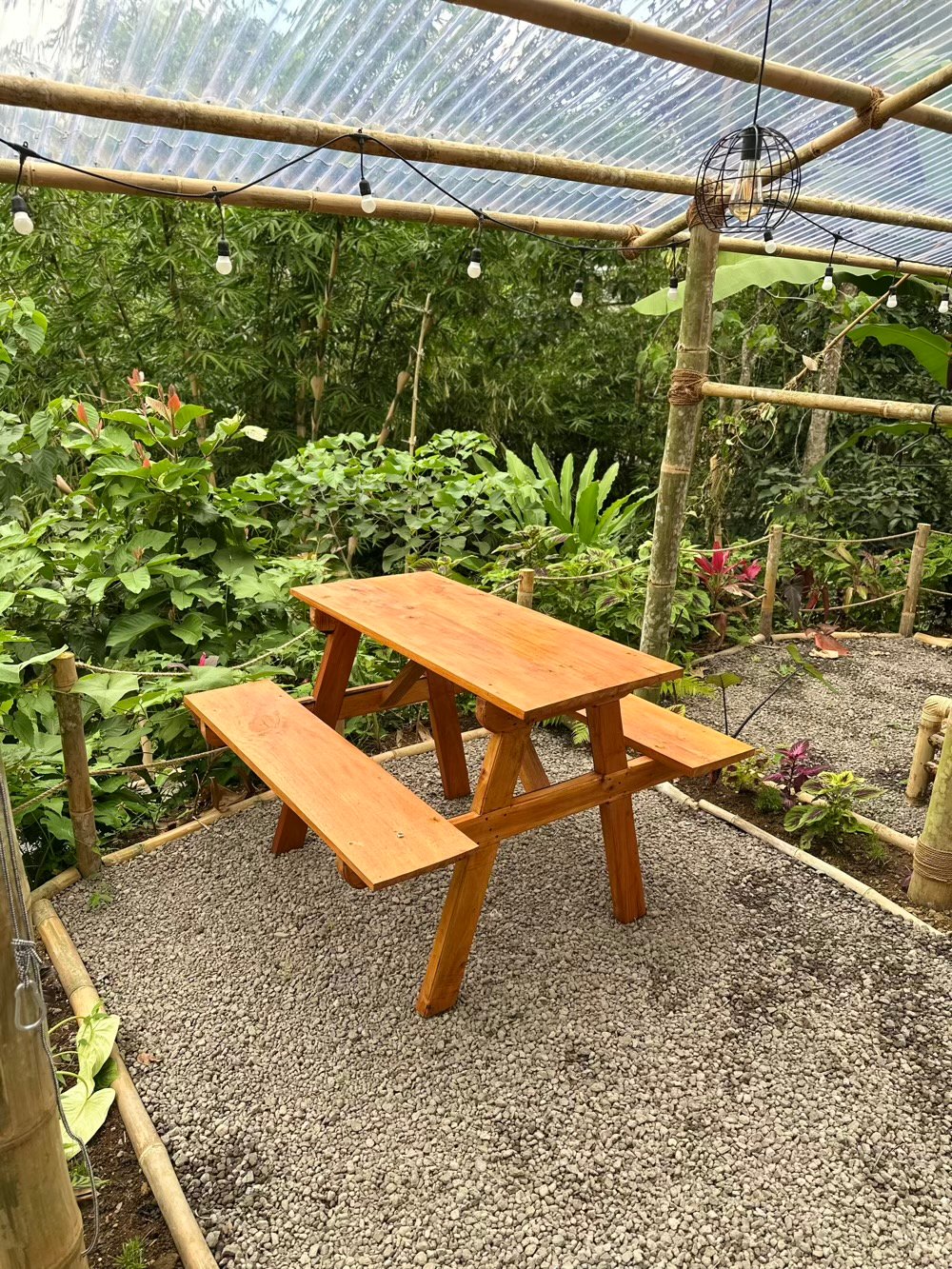 Open-air bamboo seating with fairy lights at Bamboo Hollow
