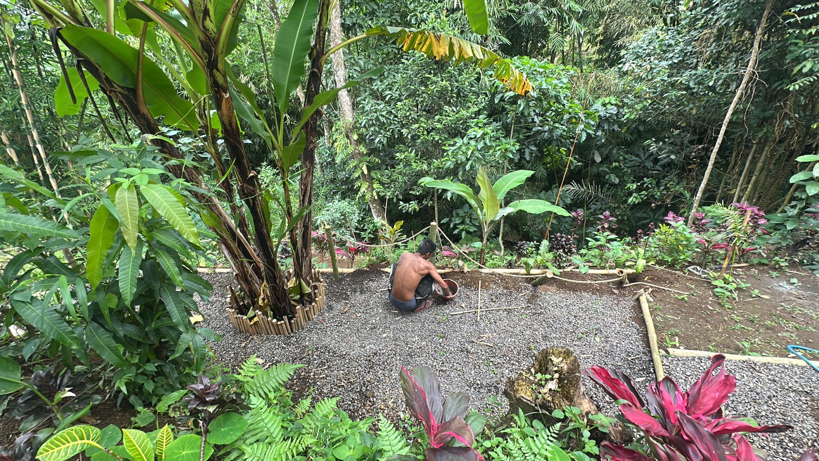 Lush tropical garden at Bamboo Hollow Tetebatu