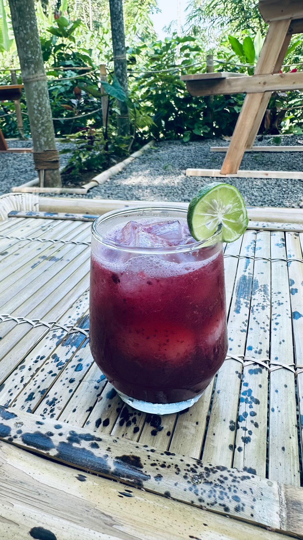 Berry blast soda with lime in bamboo garden