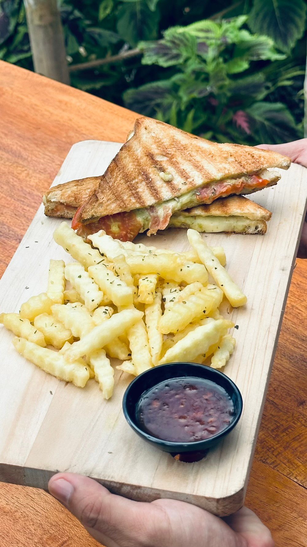 Chicken cheese toastie with fries